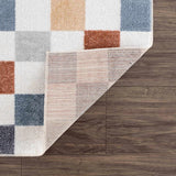 Alie Colorful Checkered Washable Runner Rug