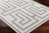 Taro Light Gray Runner Rug