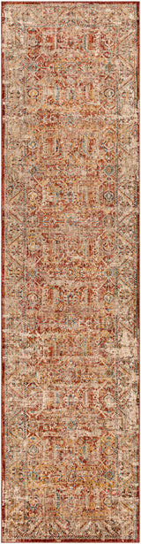 Schoeneck Runner Rug