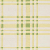 Medanales Runner Rug
