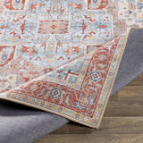 Selbyville Runner Rug