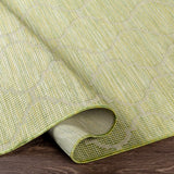 Light Green Moolap Outdoor Rug