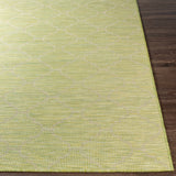 Light Green Moolap Outdoor Rug