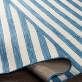 Hindsboro Runner Rug