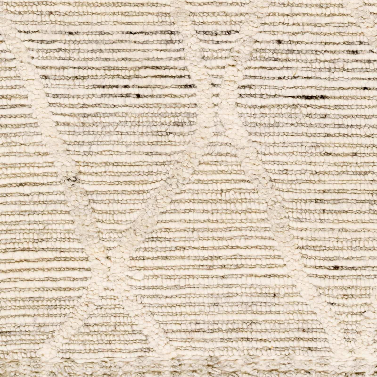 Sample Aysu Area Rug