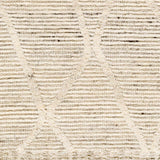 Sample Aysu Area Rug