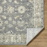 Barbod Area Rug