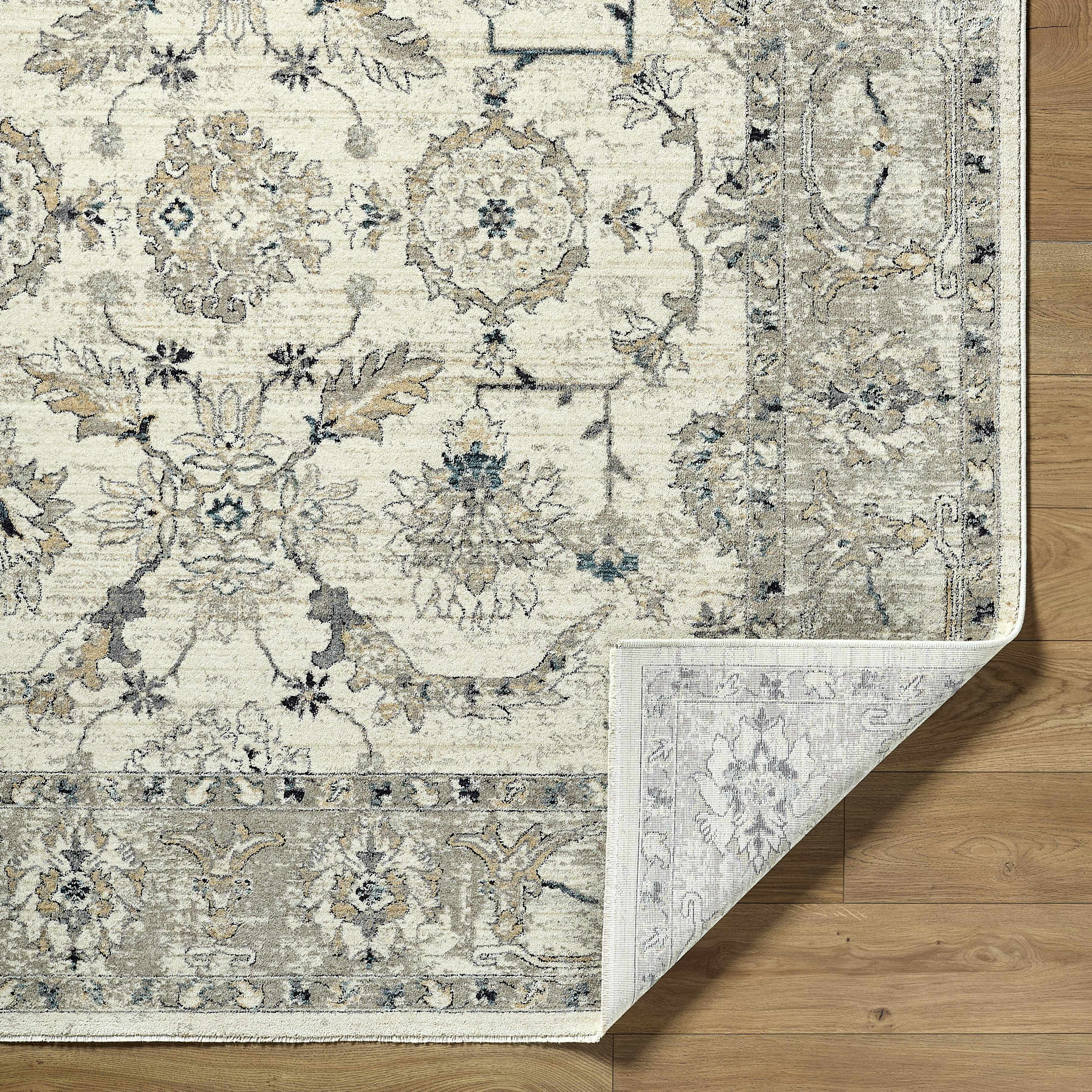 Barbod Area Rug