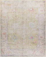 Sample Bozkurt Distressed Washable Rug