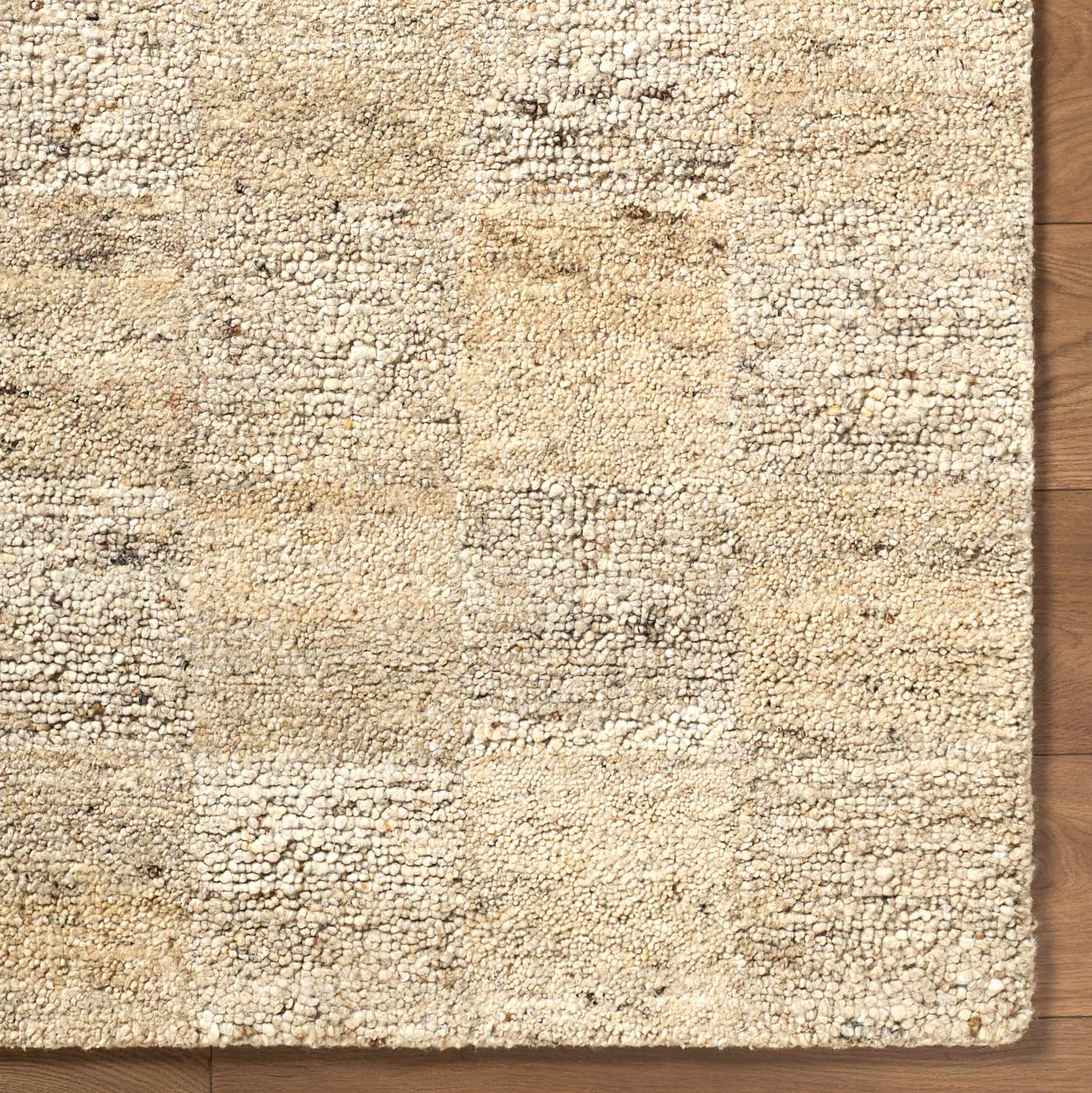 Chasya Area Rug