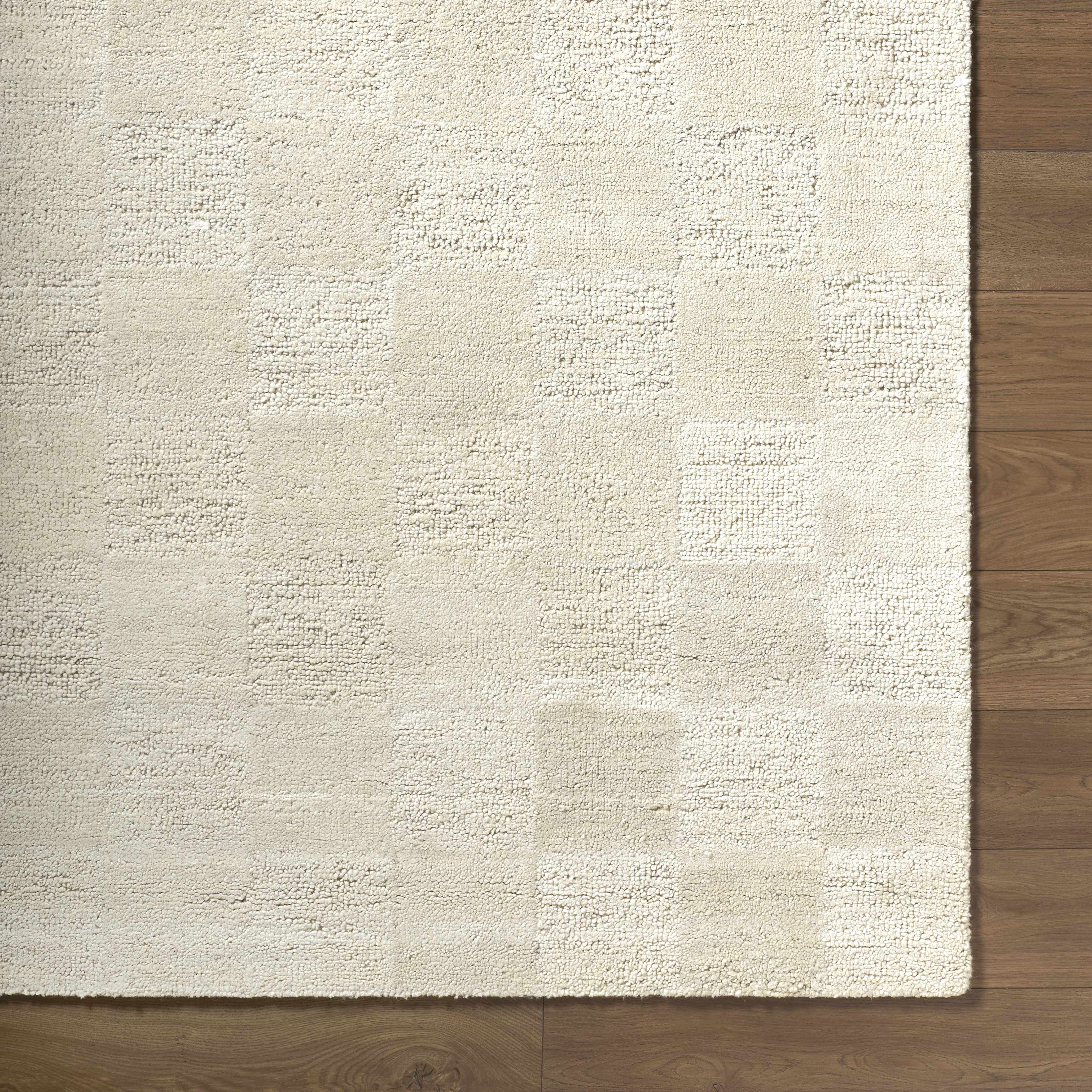 Chasya Area Rug