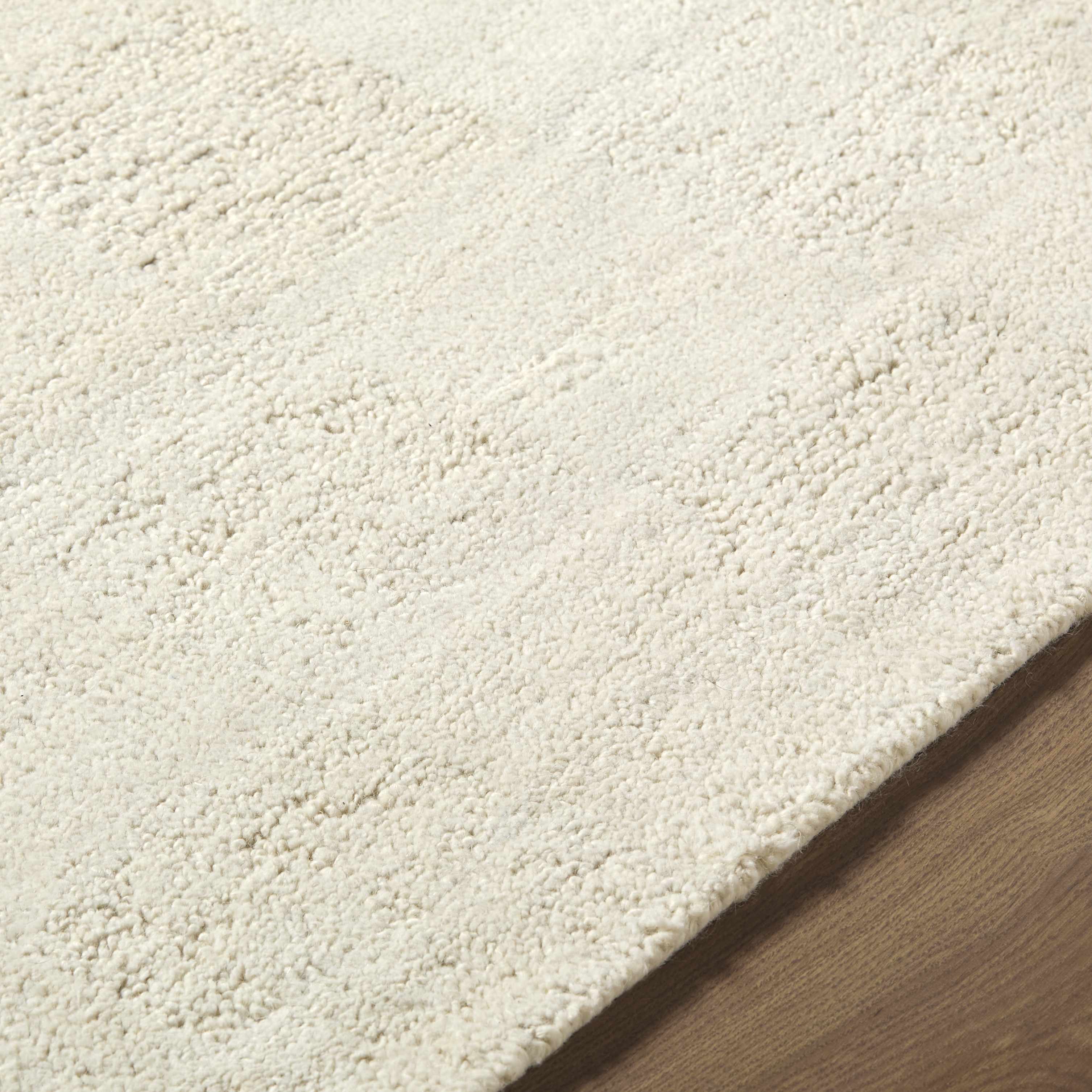 Chasya Area Rug
