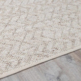 Diomede Runner Rug