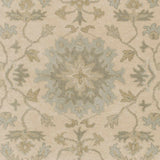 Sample Hazen Hand Tufted Light Beige 1197 Area Rug