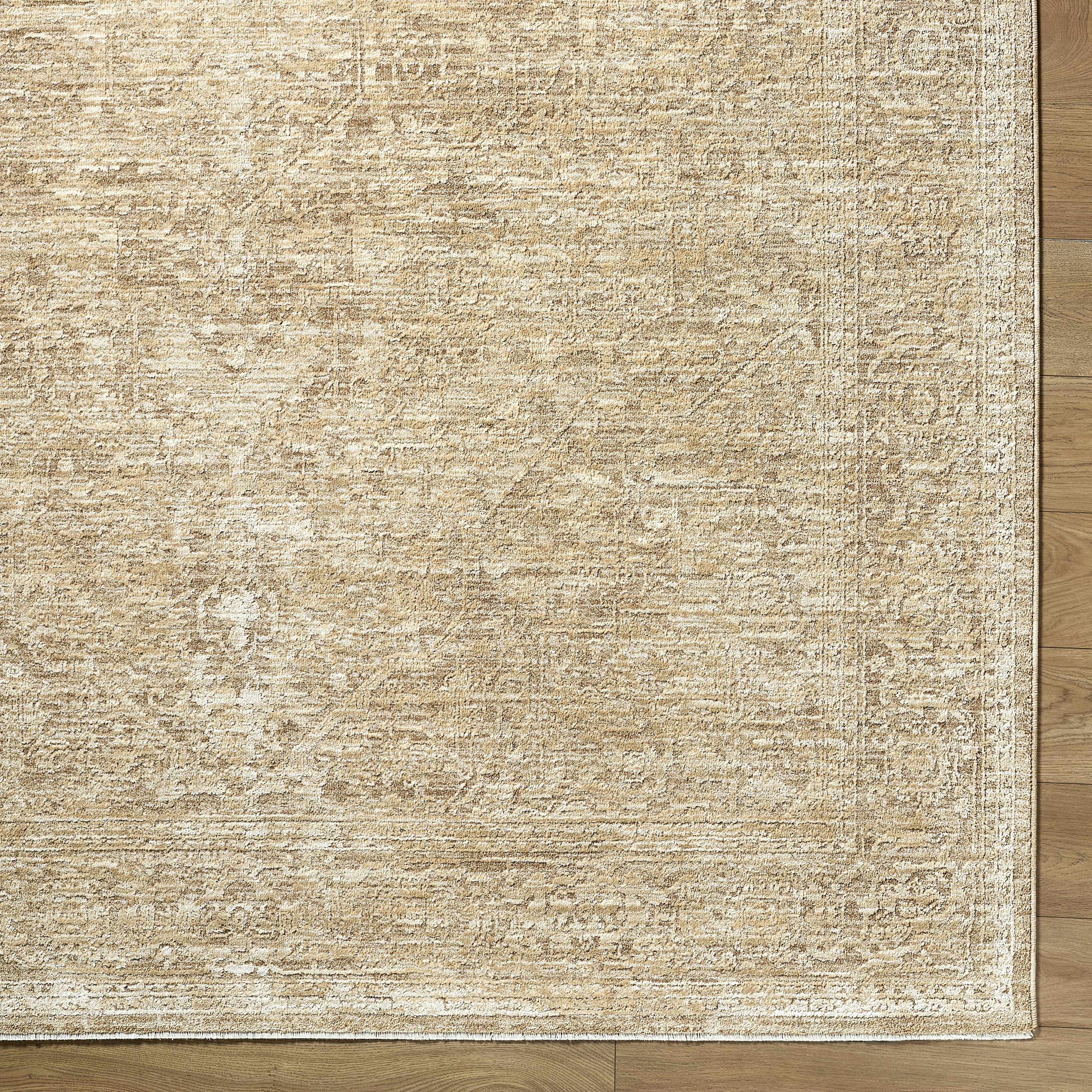 Antoan Area Rug