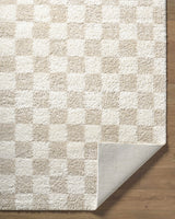 Gallicchio Area Rug