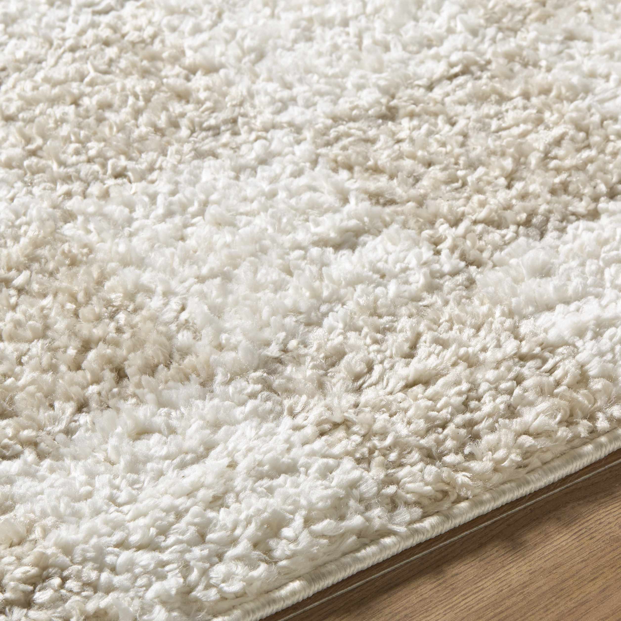 Gallicchio Area Rug