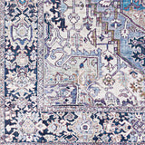 Sample Neyland Blue Area Rug