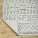 Constantin Gray Runner Rug
