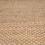 Herndon Braided Jute Rug