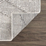 Baqer Bone & Taupe Indoor & Outdoor Rug - Clearance