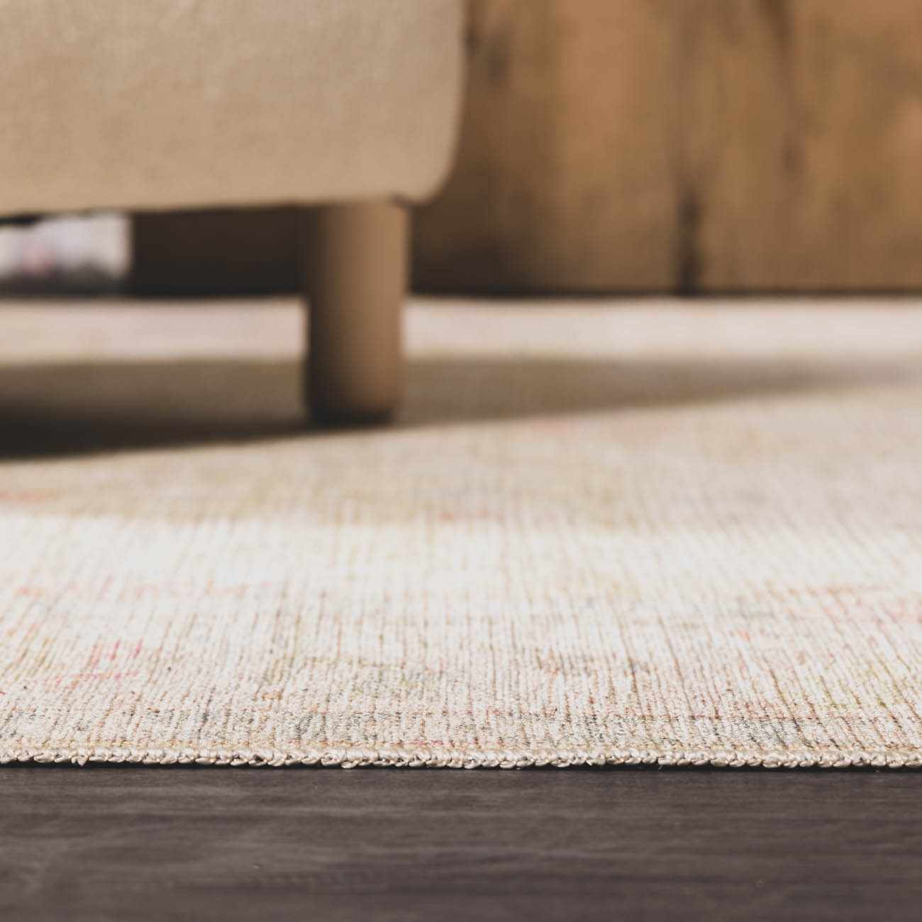 Bozkurt Distressed Washable Rug