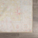 Bozkurt Distressed Washable Rug