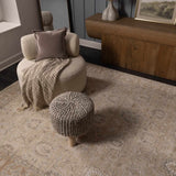 Airlia Area Rug