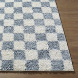 Monteagudo Area Rug