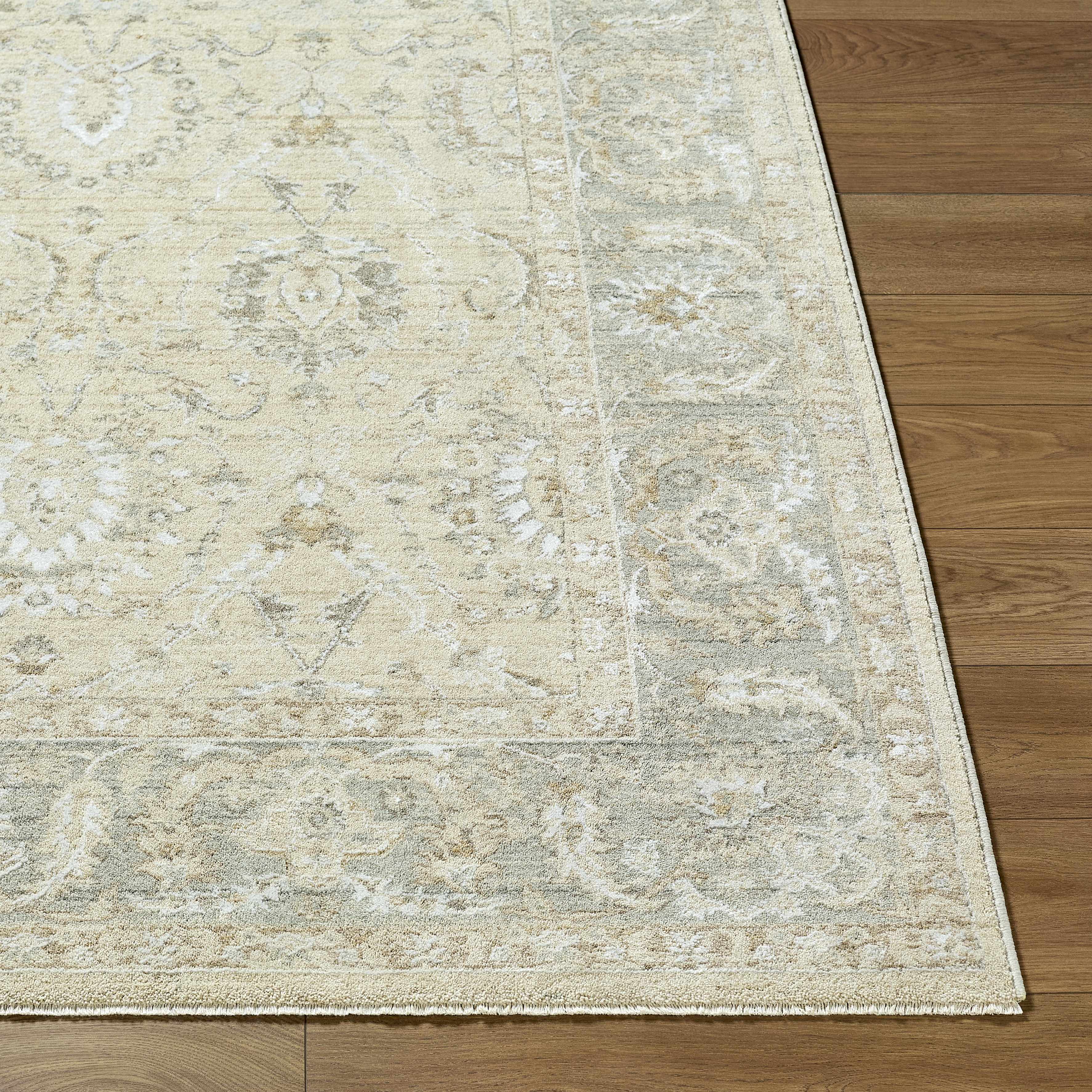Airlia Area Rug