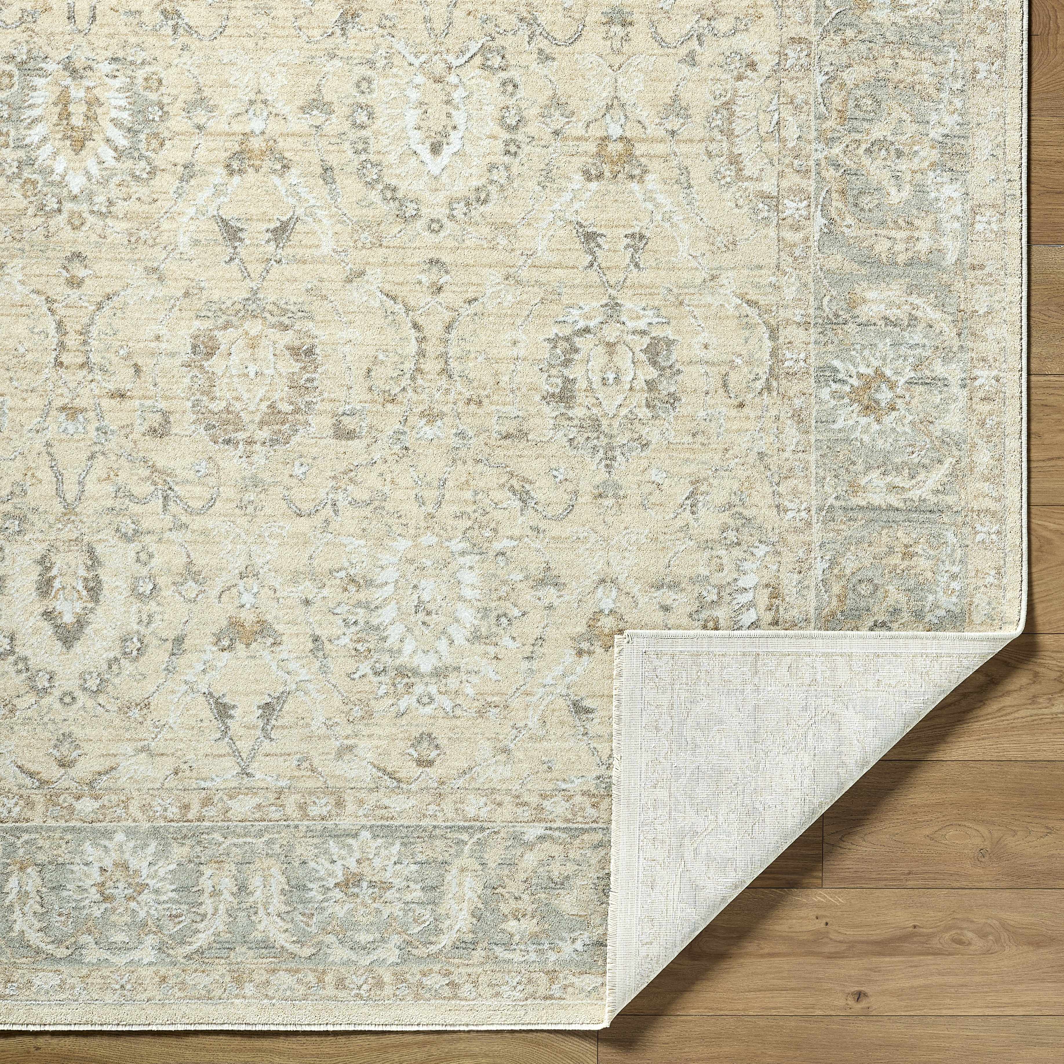 Airlia Area Rug