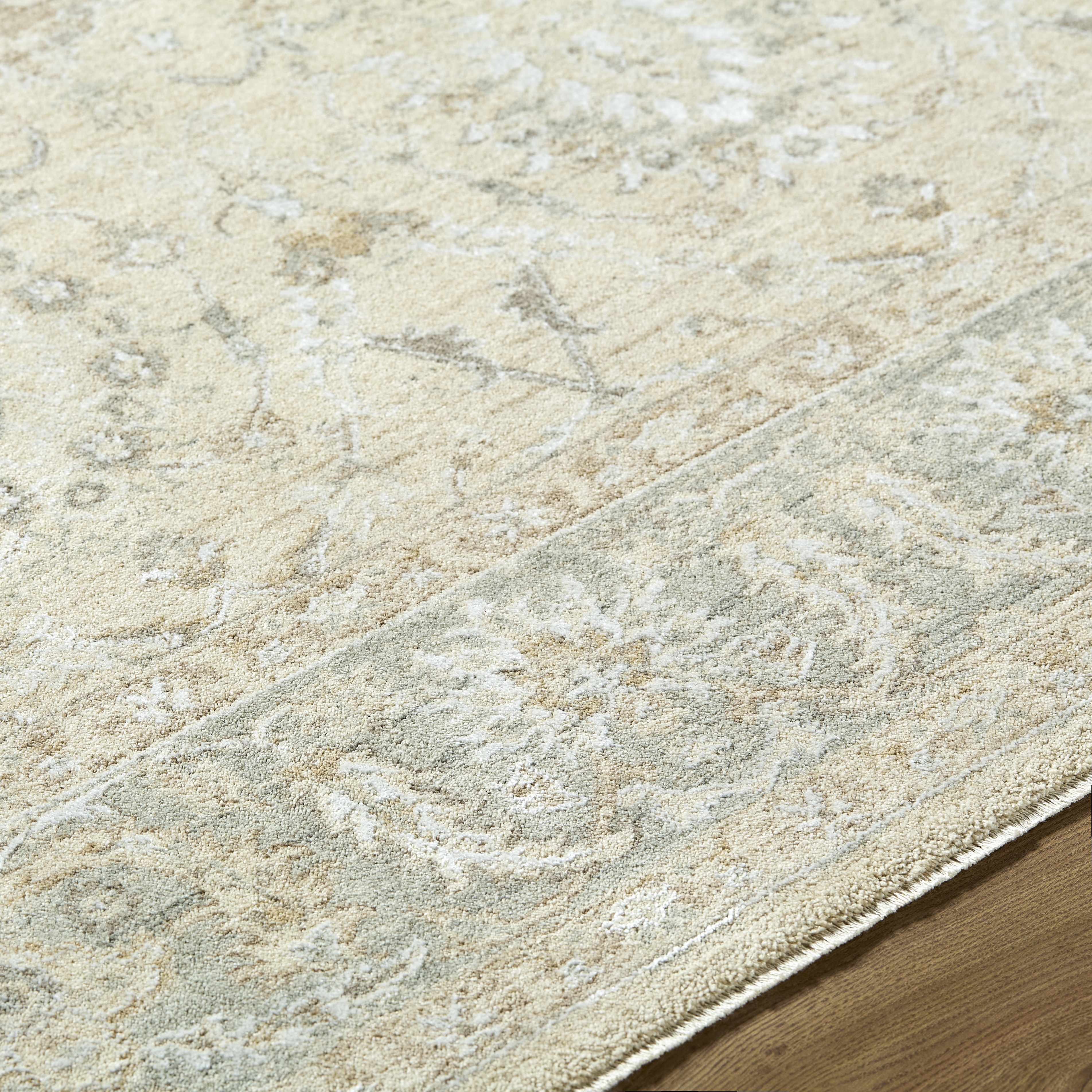 Airlia Area Rug