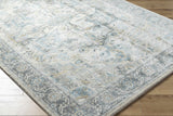 Akshay Area Rug
