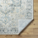 Akshay Area Rug