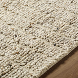 Asahel Area Rug