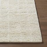 Asahel Area Rug