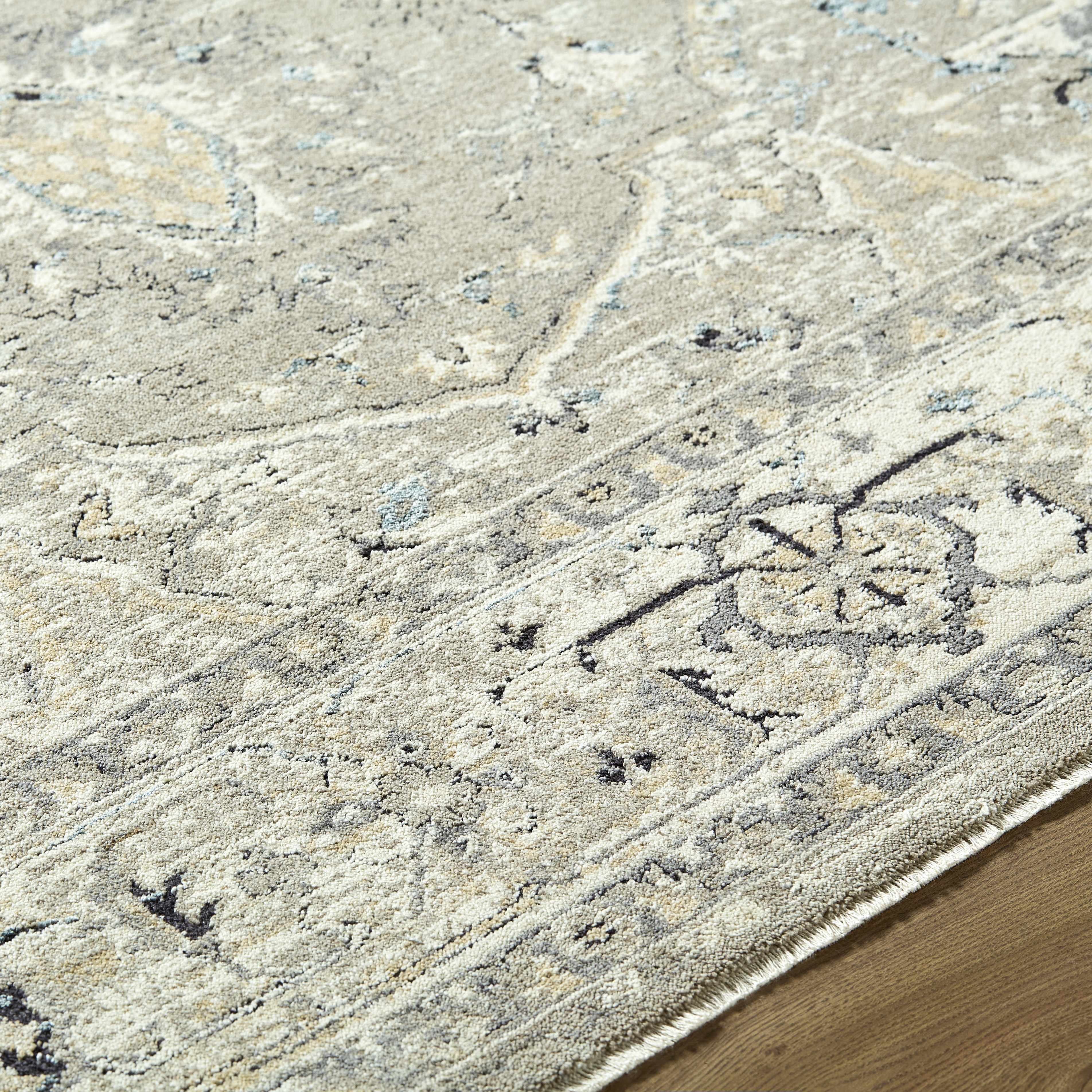 Ayzize Area Rug