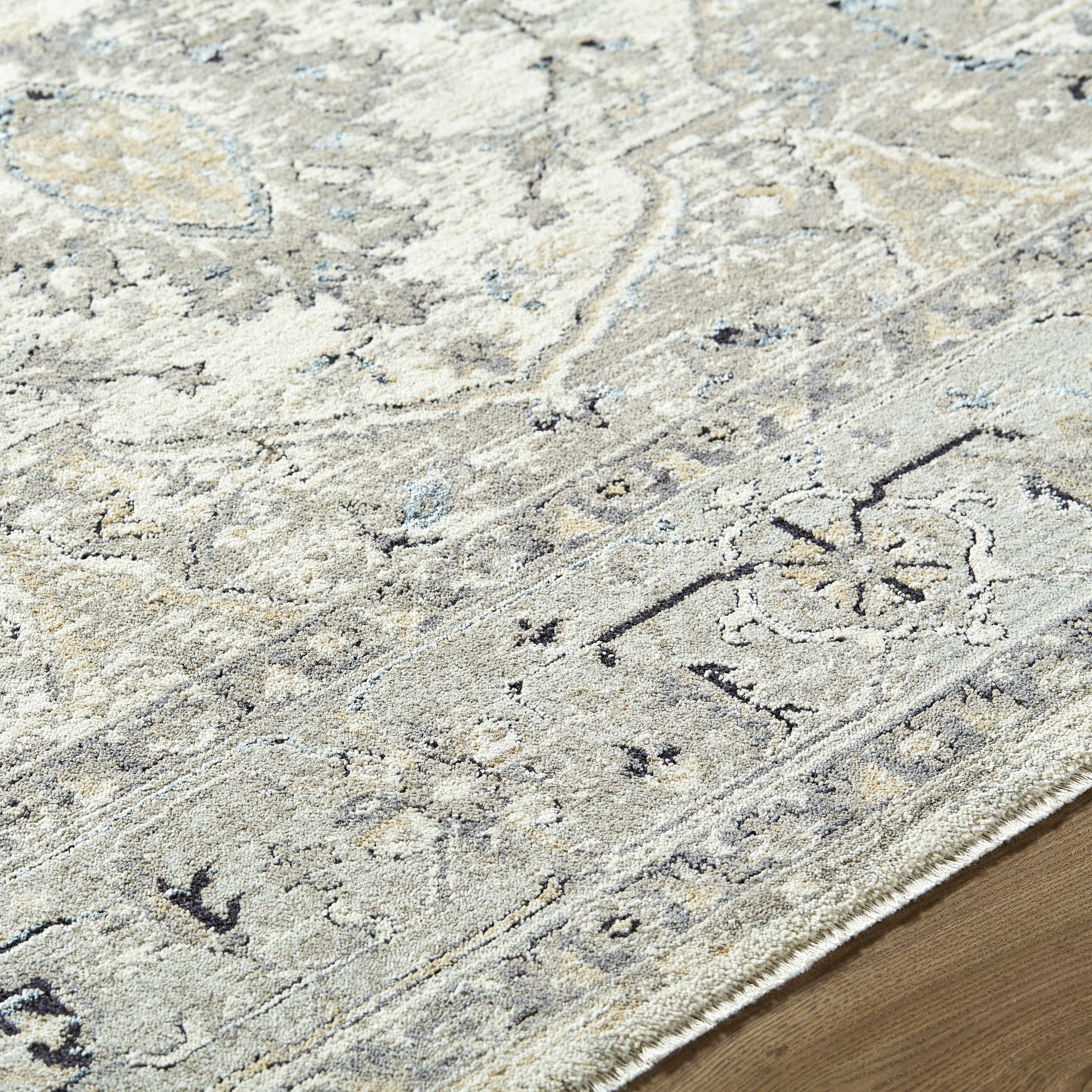 Ayzize Area Rug