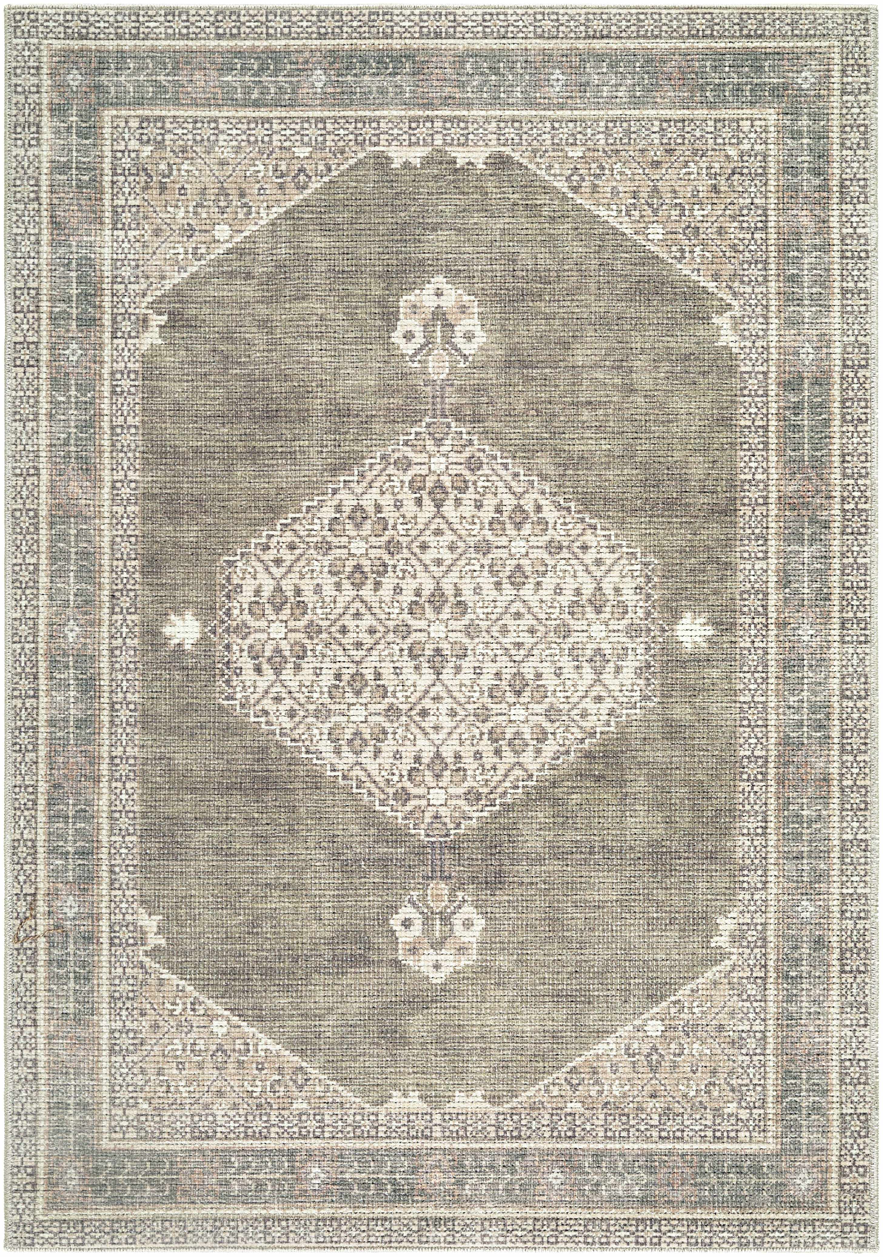 Haide Area Rug