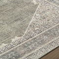 Haide Area Rug