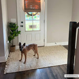 Senneterre Jute Rug