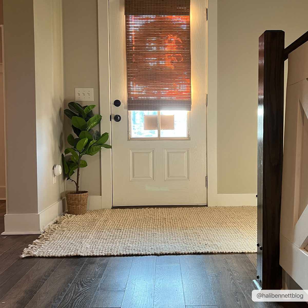 Senneterre Jute Rug