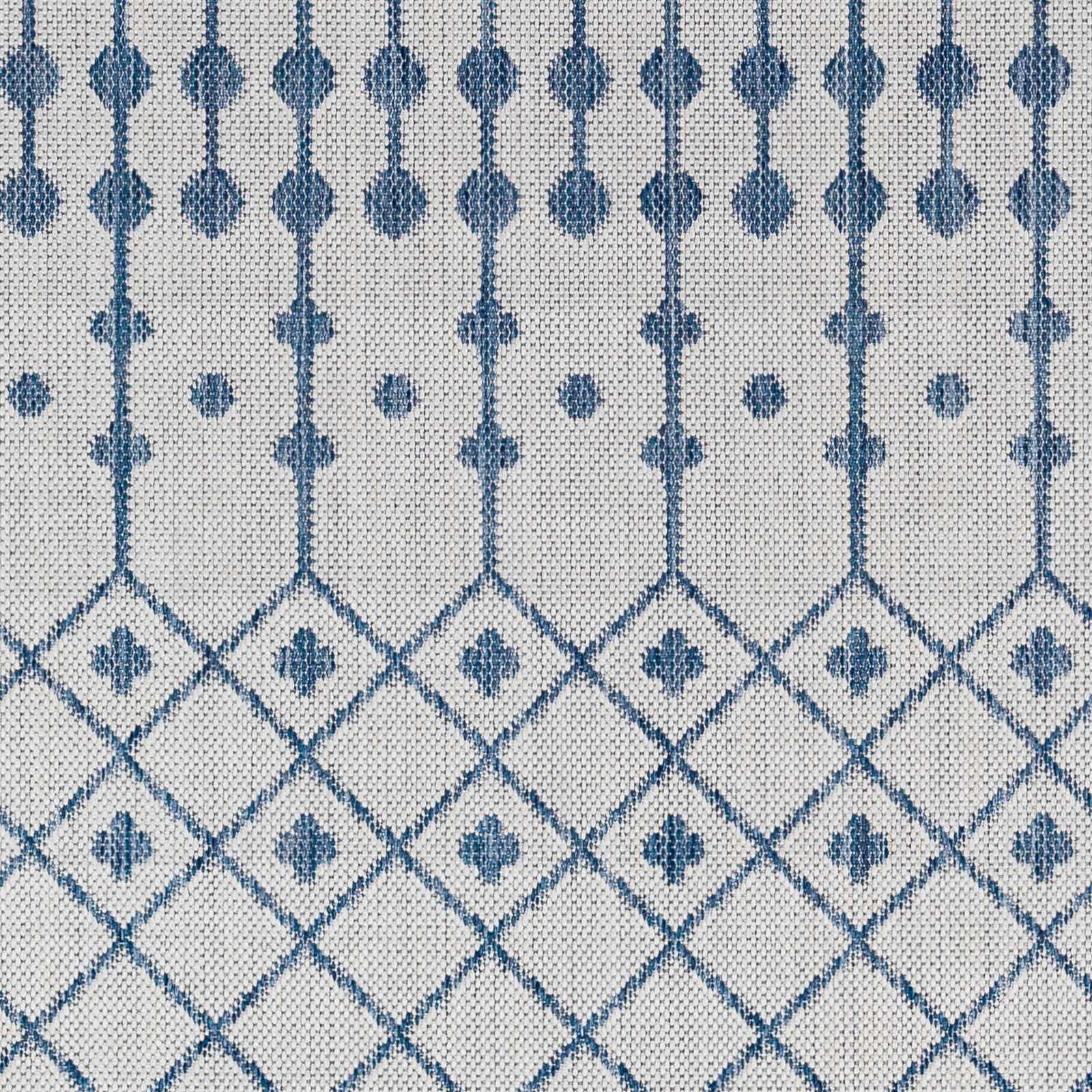 Sample Lali Blue & Gray Area Rug