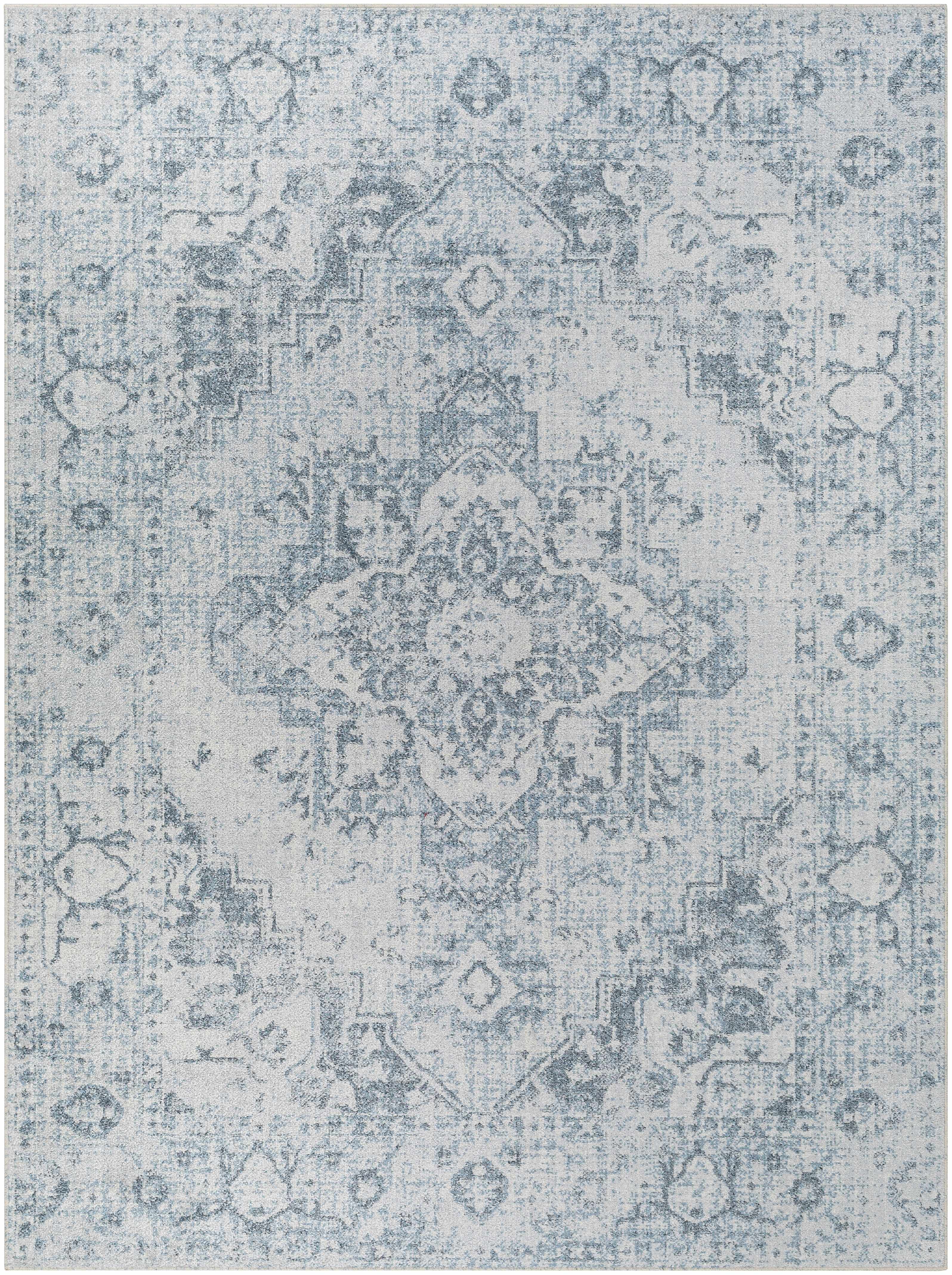 Sample Ankti Aqua Washable Area Rug