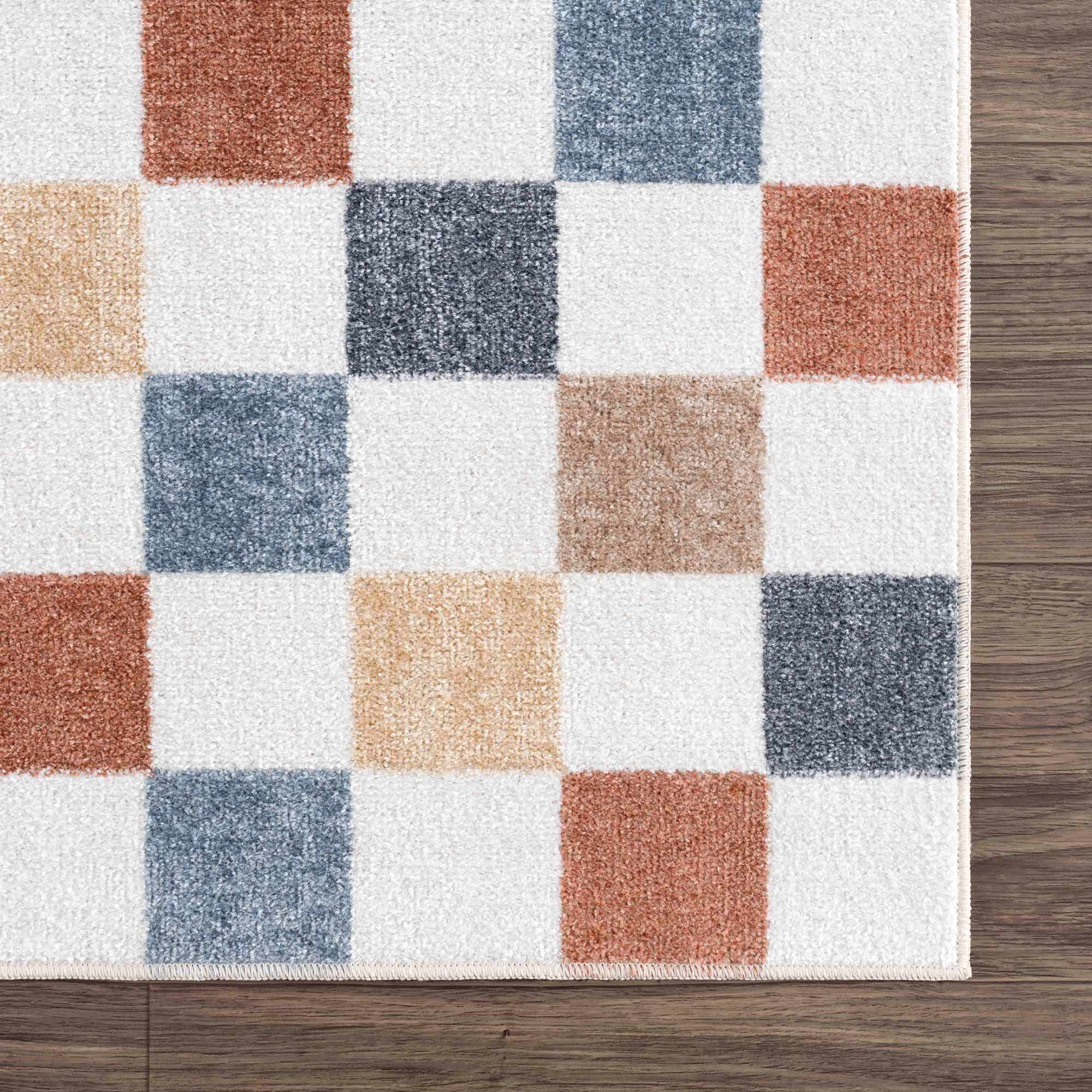 Alie Colorful Checkered Washable Runner Rug