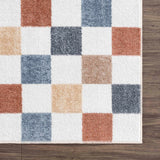Alie Colorful Checkered Washable Runner Rug