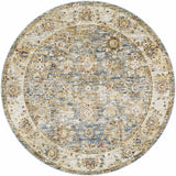 Duong Beige & Blue Runner Rug
