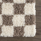 Sample Atira Brown Checkered Area Rug