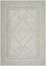 Taban Area Rug