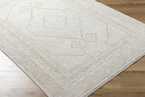 Taban Area Rug